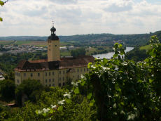 Gundelsheim